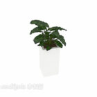 Indoor Potted Plant White Color