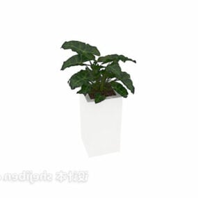گیاه گلدانی سرپوشیده رنگ سفید مدل سه بعدی