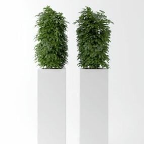 3д модель комнатного растения в горшке в минималистском стиле