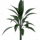 Arbre à plantes d'intérieur à grandes feuilles