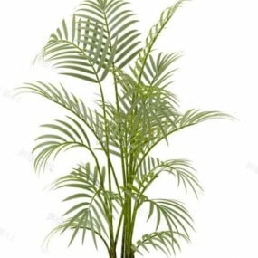 Small Indoor Palm Tree 3d model