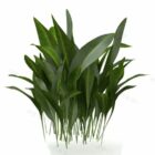 Plant 3d model .