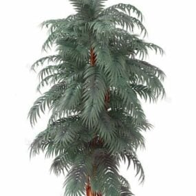 Indoor Plant Tree 3d model