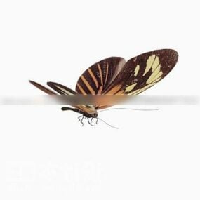 Brown Butterfly 3d model