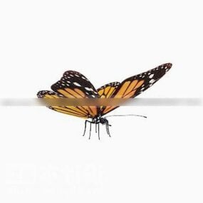 Orange Butterfly Animal 3d model