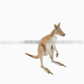 3д модель австралийского животного кенгуру