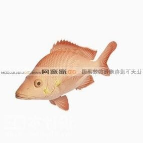 赤い魚の海の動物3Dモデル