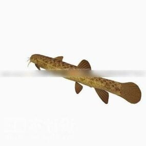 海魚動物3Dモデル