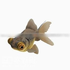 小魚動物3Dモデル