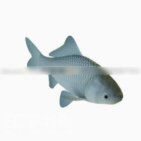 Model 3D zwierzęcia-ryby karpia