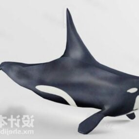 Modelo 3d de ballena asesina marina