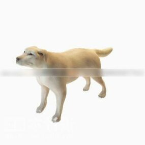 Modello 3d animale cane giallo