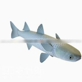 Whiting Fish 3d model