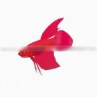 דג דג זהב אדום