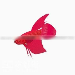 3D model ryby červené zlaté rybky