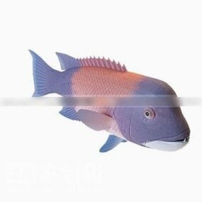 Model 3D ryby Koi