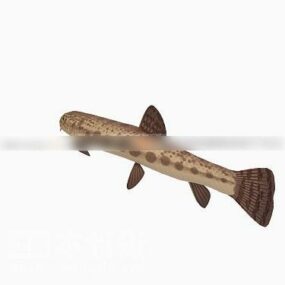 Loach Fish V1 3D model