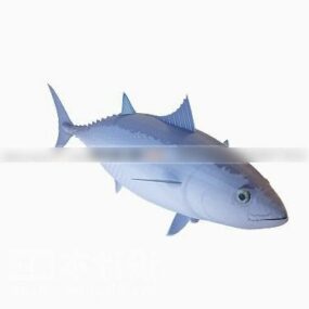 Wild Tuna Fish 3d model