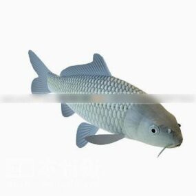 مدل ماهی پاتامال سه بعدی