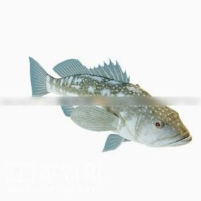 Model 3d Ikan Pelangi Laut