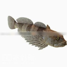 3D model Pufferfish Fish