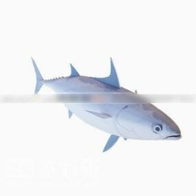 سمكة التونة البحرية نموذج ثلاثي الأبعاد