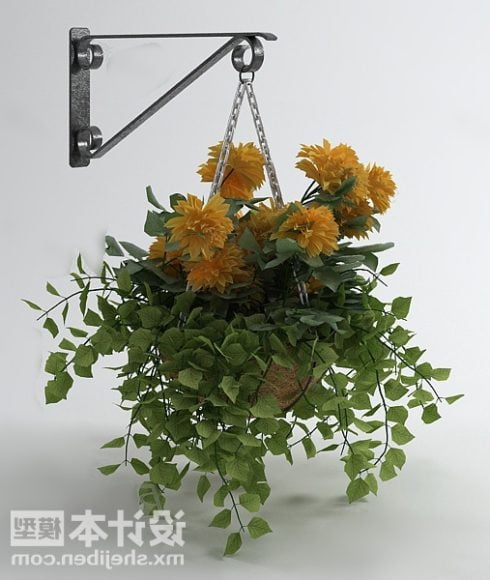 Hanging Garden Plant Pot