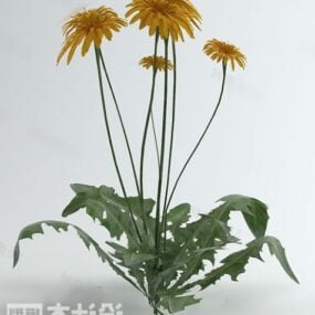 بوته های گیاه گل زرد مدل سه بعدی
