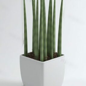 Modello 3d di piccola pianta in vaso bianca