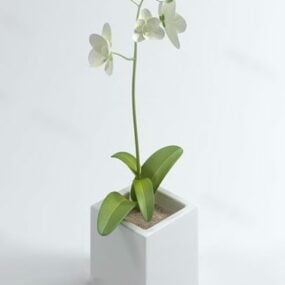 Tischtopfpflanze 3D-Modell