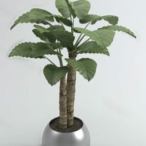 مدل سه بعدی گیاه گلدانی بزرگ