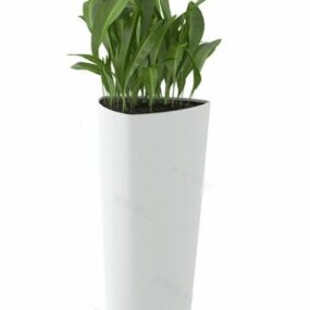 High Potted Plant 3d model