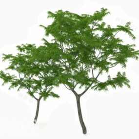 庭の共通の木3Dモデル