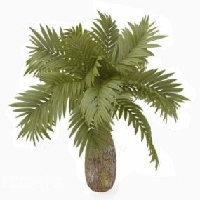 Realistic Low Palm Tree 3d model