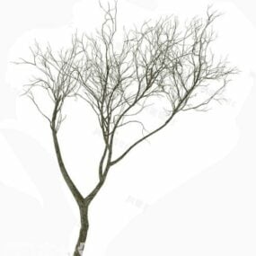 Dry Tree Plant 3d model