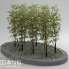Bamboo Plant Tree