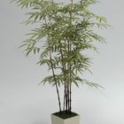 Bambusowe Drzewo