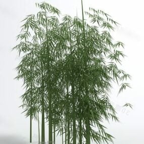 3д модель кустов бамбукового растения
