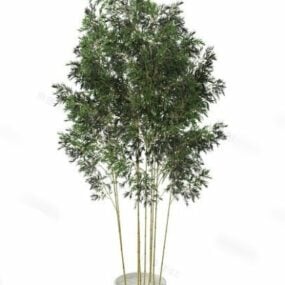 Village Bamboo Tree 3d model