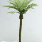Trooppinen palmu kasvi