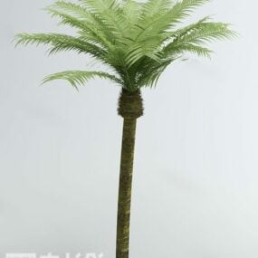 热带棕榈植物3d模型
