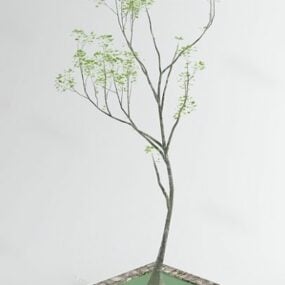 3D model Less Leaf Tree