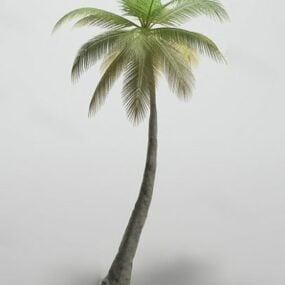 Realistický 3D model kokosového stromu