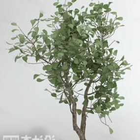 Modello 3d dell'albero di guava