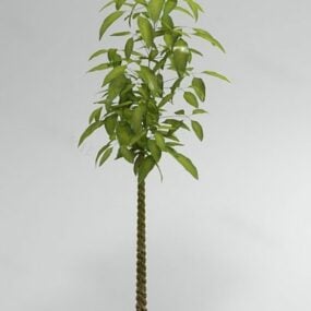 Modelo 3d de árvore de jardim de folhas pequenas