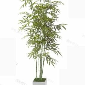 Modello 3d di pianta in vaso di bambù