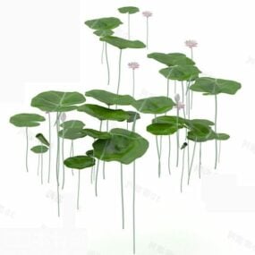 Lotus Tree With Flower 3d model