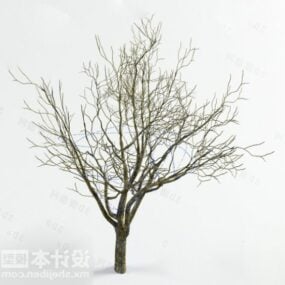 نموذج شجرة الشتاء الجاف ثلاثي الأبعاد