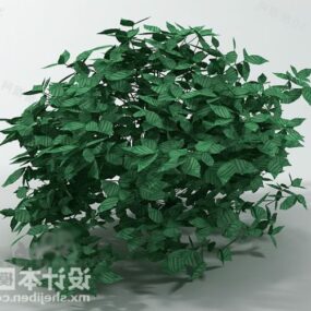 Struiken Plant 3D-model