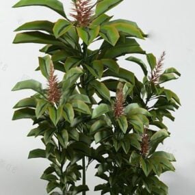 Hedge Plant 3d model